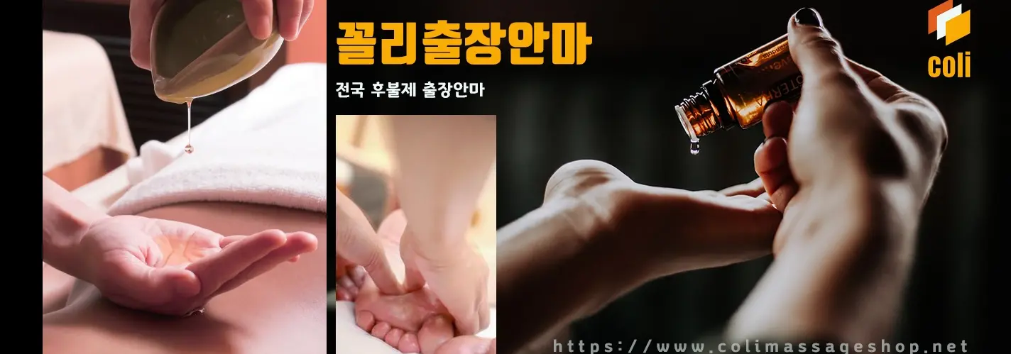 콜리출장안마 - 출장마사지 전문